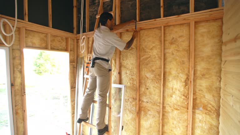 Best Crawl Space Insulation  in Fountain Hills, AZ